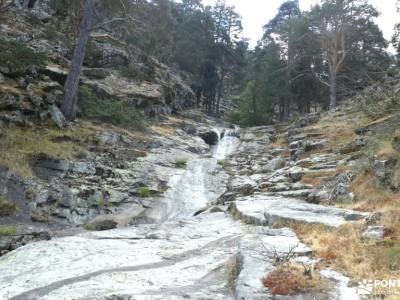 Chorro,Pinares Navafría-Baño senderista;camino de santiago la rioja barranco del rio dulce hayedo te